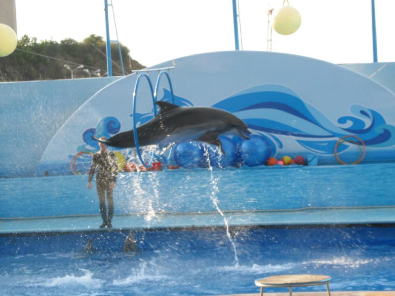   Krym-2006 Sevastopol