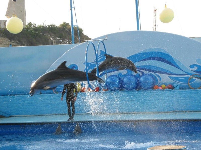   Krym-2006 Sevastopol