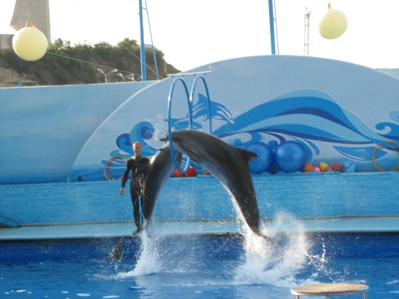   Krym-2006 Sevastopol