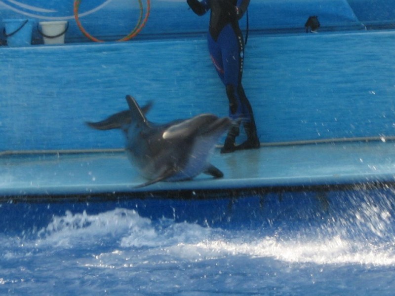   Krym-2006 Sevastopol