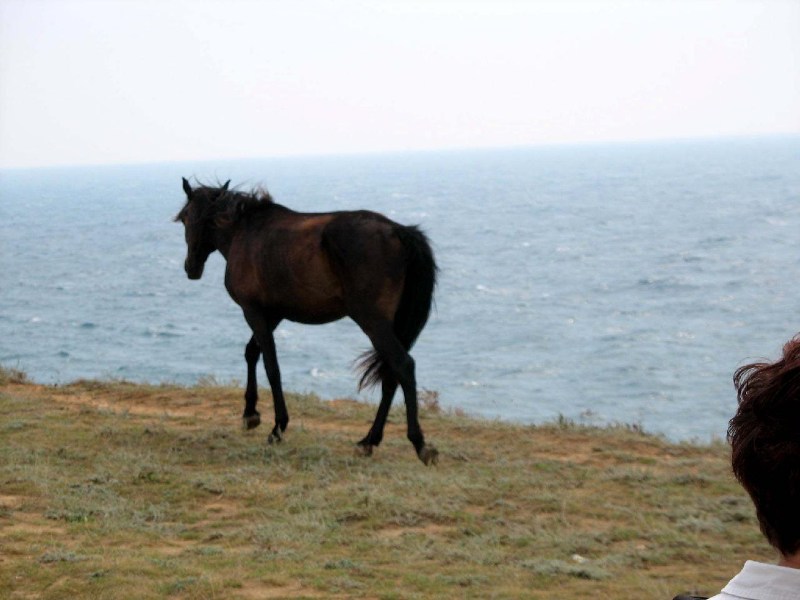   Krym-2006 Sypel Tarchankut