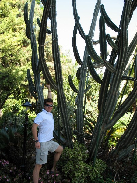   Delphin Delux Resort    