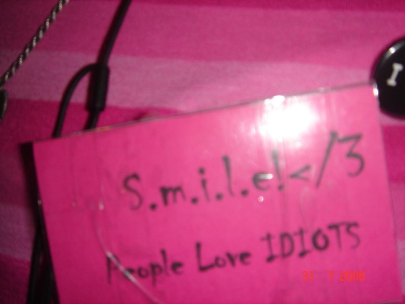   Little Nice Charlotte and Friends ($293)