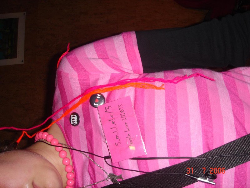   Little Nice Charlotte and Friends ($293)