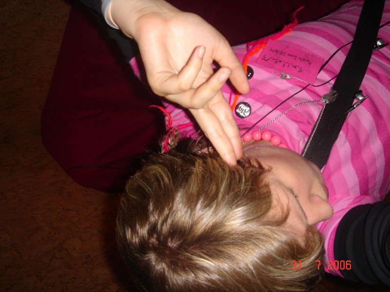   Little Nice Charlotte and Friends ($293)