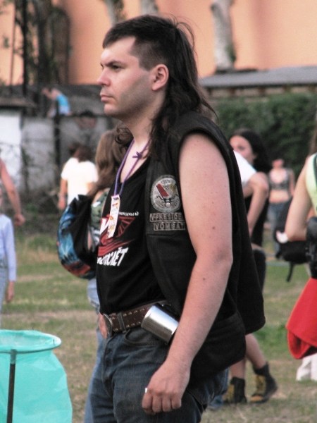   GOBLIN-SHOW 2006 () VIII  