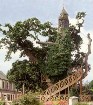     10-most-magnificent-trees-in-the-world-chapel-oak-of-allouville-bellefosse-5.jpg