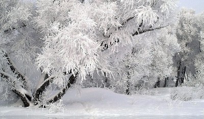    winter_tales-1024x600.jpg
