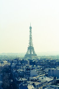   Paris IMG_2393.jpg