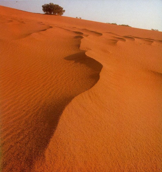    Desert.jpg