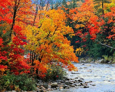    fall_creek2.jpg