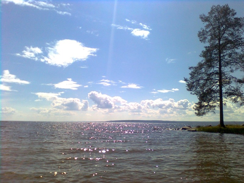    lake_II_by_Lectus_Amor.jpg