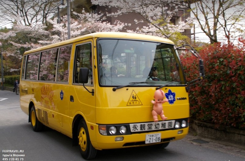    2014 (  ) bus1.jpg
