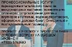    ...    +7 903 578 08 80    traduttore interprete russo italiano 84.JPG